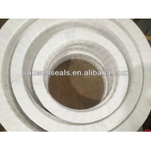 Expanded PTFE Gasket Sheet